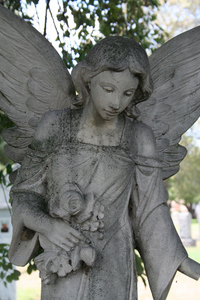  Picture of Concrete Angel