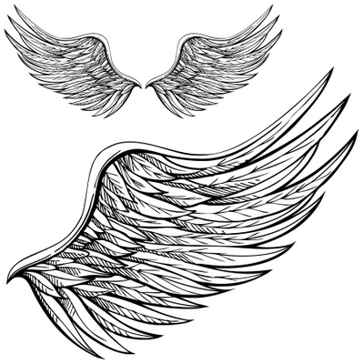  Drawings of Angel Wings Angel Wing Drawings Angel Wings 