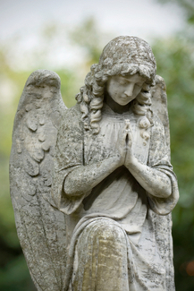Angel Praying