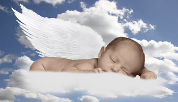 Baby Angel Picture