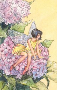 female fairy